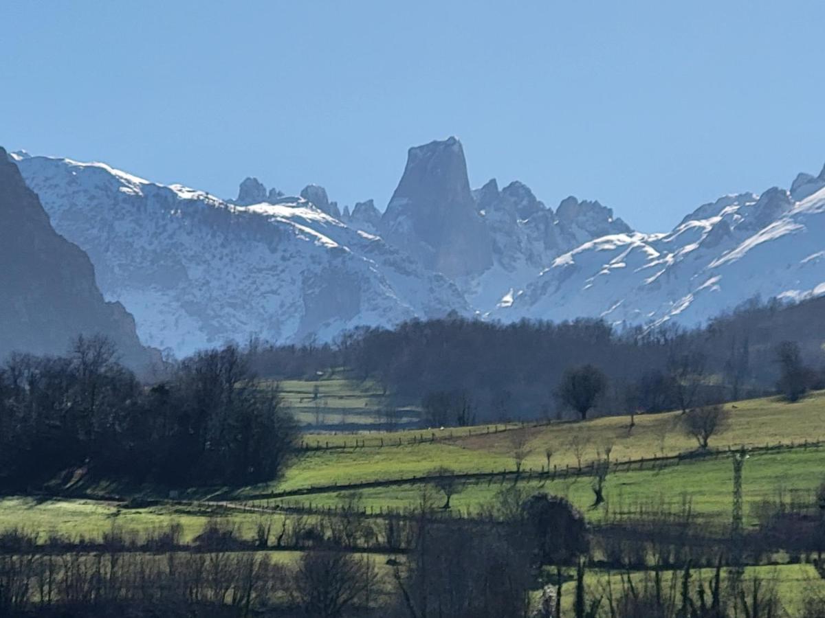 Ribeles Luxury Flat Appartement Arenas De Cabrales Buitenkant foto
